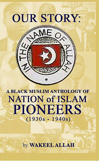 Discussion of NOI Pionner